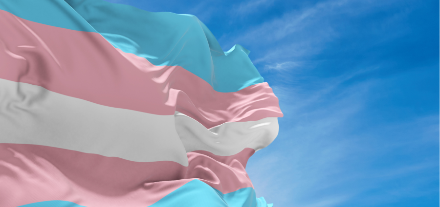 bandeira-trans-significado-cores-e-historia